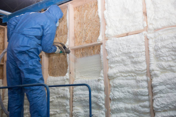 Types of Insulation We Offer in Petersburg, IN